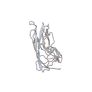 6746_5zbo_F_v1-2
Cryo-EM structure of PCV2 VLPs
