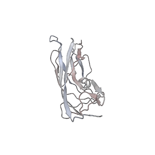 6746_5zbo_F_v1-3
Cryo-EM structure of PCV2 VLPs