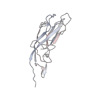 6746_5zbo_G_v1-2
Cryo-EM structure of PCV2 VLPs