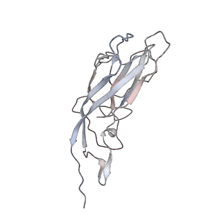 6746_5zbo_G_v1-3
Cryo-EM structure of PCV2 VLPs