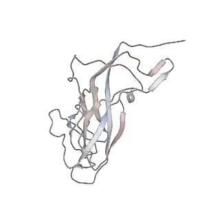 6746_5zbo_H_v1-2
Cryo-EM structure of PCV2 VLPs