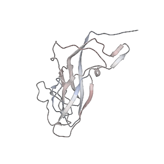 6746_5zbo_H_v1-3
Cryo-EM structure of PCV2 VLPs
