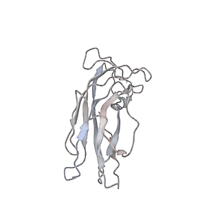 6746_5zbo_I_v1-2
Cryo-EM structure of PCV2 VLPs