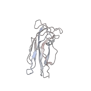 6746_5zbo_I_v1-3
Cryo-EM structure of PCV2 VLPs