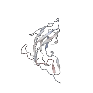 6746_5zbo_J_v1-3
Cryo-EM structure of PCV2 VLPs