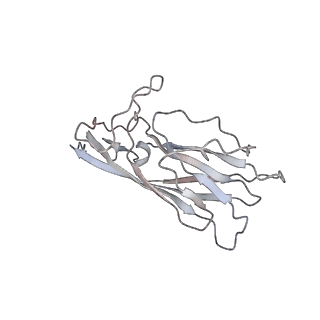 6746_5zbo_K_v1-2
Cryo-EM structure of PCV2 VLPs
