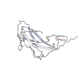 6746_5zbo_L_v1-3
Cryo-EM structure of PCV2 VLPs