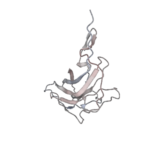 6746_5zbo_M_v1-2
Cryo-EM structure of PCV2 VLPs