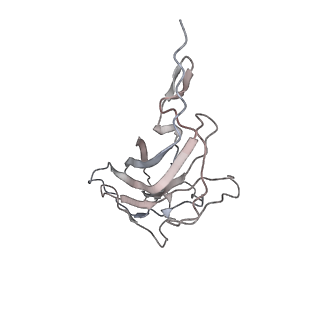 6746_5zbo_M_v1-3
Cryo-EM structure of PCV2 VLPs