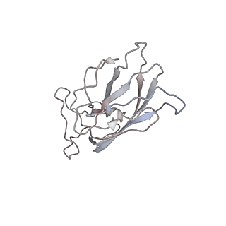 6746_5zbo_N_v1-2
Cryo-EM structure of PCV2 VLPs