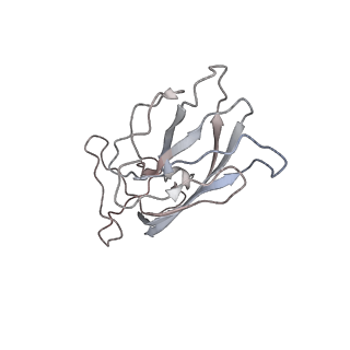 6746_5zbo_N_v1-3
Cryo-EM structure of PCV2 VLPs