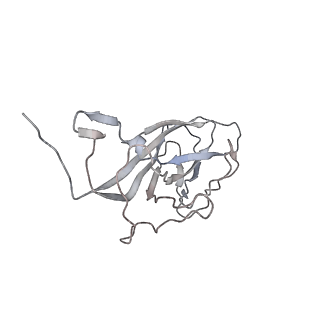 6746_5zbo_O_v1-2
Cryo-EM structure of PCV2 VLPs