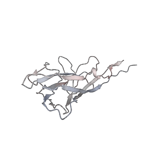 6746_5zbo_P_v1-3
Cryo-EM structure of PCV2 VLPs