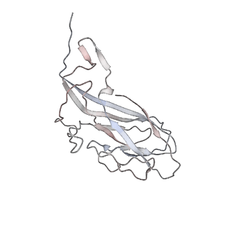 6746_5zbo_Q_v1-3
Cryo-EM structure of PCV2 VLPs