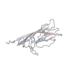 6746_5zbo_S_v1-2
Cryo-EM structure of PCV2 VLPs