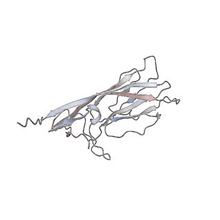 6746_5zbo_S_v1-3
Cryo-EM structure of PCV2 VLPs