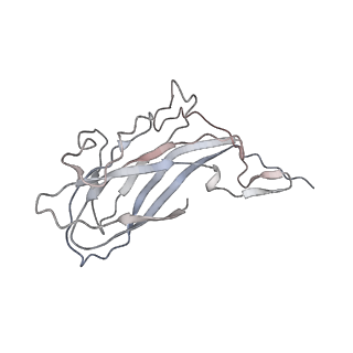 6746_5zbo_T_v1-3
Cryo-EM structure of PCV2 VLPs