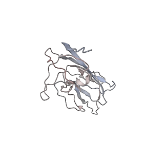 6746_5zbo_V_v1-2
Cryo-EM structure of PCV2 VLPs