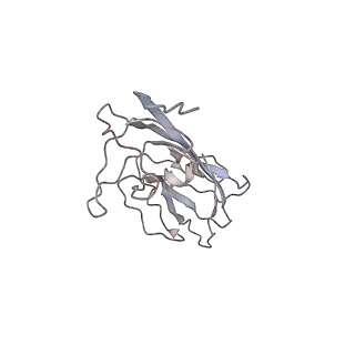 6746_5zbo_V_v1-3
Cryo-EM structure of PCV2 VLPs