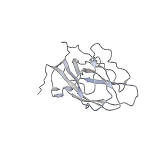 6746_5zbo_W_v1-2
Cryo-EM structure of PCV2 VLPs
