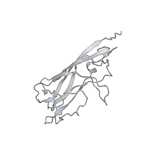 6746_5zbo_Y_v1-3
Cryo-EM structure of PCV2 VLPs