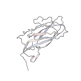 6746_5zbo_Z_v1-2
Cryo-EM structure of PCV2 VLPs
