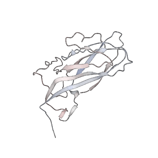 6746_5zbo_Z_v1-3
Cryo-EM structure of PCV2 VLPs