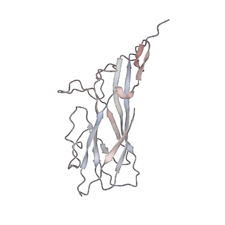 6746_5zbo_a_v1-2
Cryo-EM structure of PCV2 VLPs