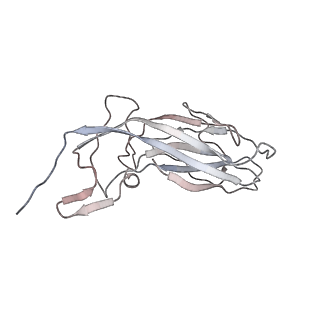 6746_5zbo_b_v1-3
Cryo-EM structure of PCV2 VLPs