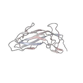 6746_5zbo_c_v1-3
Cryo-EM structure of PCV2 VLPs