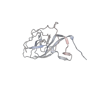 6746_5zbo_e_v1-2
Cryo-EM structure of PCV2 VLPs