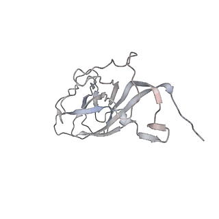 6746_5zbo_e_v1-3
Cryo-EM structure of PCV2 VLPs