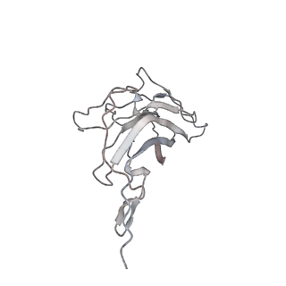 6746_5zbo_f_v1-3
Cryo-EM structure of PCV2 VLPs