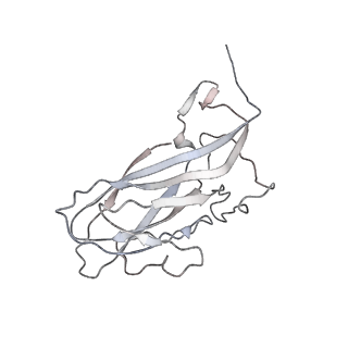 6746_5zbo_h_v1-3
Cryo-EM structure of PCV2 VLPs