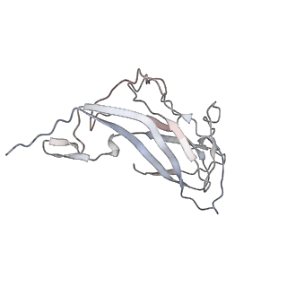 6746_5zbo_j_v1-3
Cryo-EM structure of PCV2 VLPs