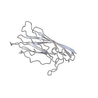 6746_5zbo_k_v1-2
Cryo-EM structure of PCV2 VLPs