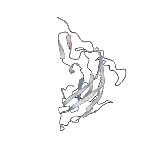 6746_5zbo_l_v1-2
Cryo-EM structure of PCV2 VLPs