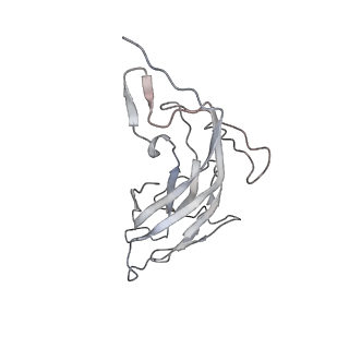 6746_5zbo_l_v1-3
Cryo-EM structure of PCV2 VLPs