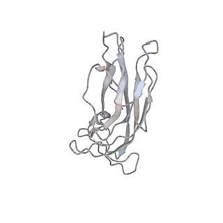 6746_5zbo_m_v1-2
Cryo-EM structure of PCV2 VLPs