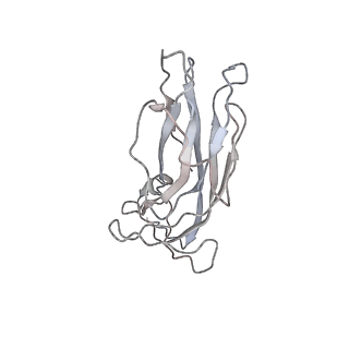6746_5zbo_m_v1-3
Cryo-EM structure of PCV2 VLPs