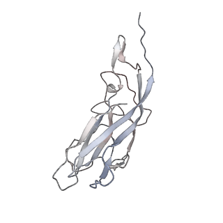 6746_5zbo_n_v1-3
Cryo-EM structure of PCV2 VLPs