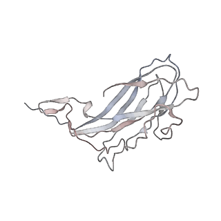 6746_5zbo_p_v1-3
Cryo-EM structure of PCV2 VLPs