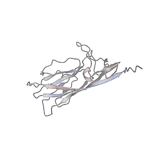 6746_5zbo_q_v1-3
Cryo-EM structure of PCV2 VLPs