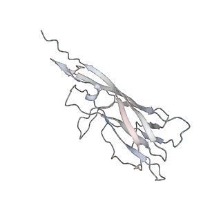 6746_5zbo_r_v1-3
Cryo-EM structure of PCV2 VLPs