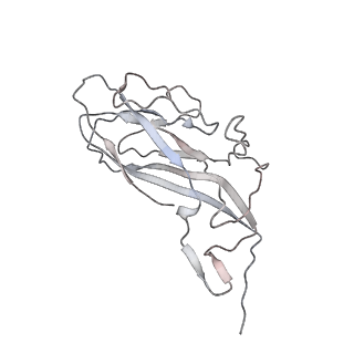 6746_5zbo_s_v1-3
Cryo-EM structure of PCV2 VLPs