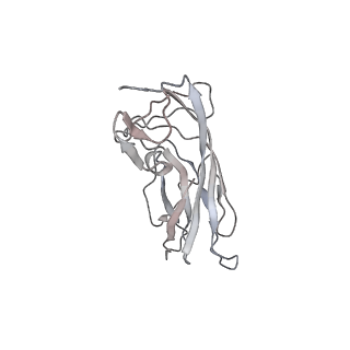 6746_5zbo_t_v1-3
Cryo-EM structure of PCV2 VLPs