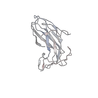 6746_5zbo_u_v1-2
Cryo-EM structure of PCV2 VLPs