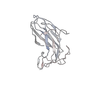 6746_5zbo_u_v1-3
Cryo-EM structure of PCV2 VLPs