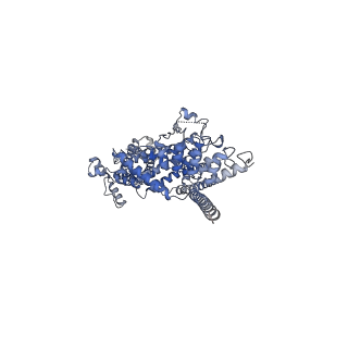 6911_5zbg_A_v1-1
Cryo-EM structure of human TRPC3 at 4.36A resolution