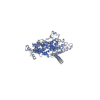 6911_5zbg_A_v1-2
Cryo-EM structure of human TRPC3 at 4.36A resolution